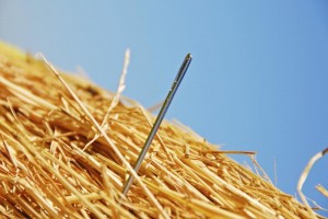 needle-haystack